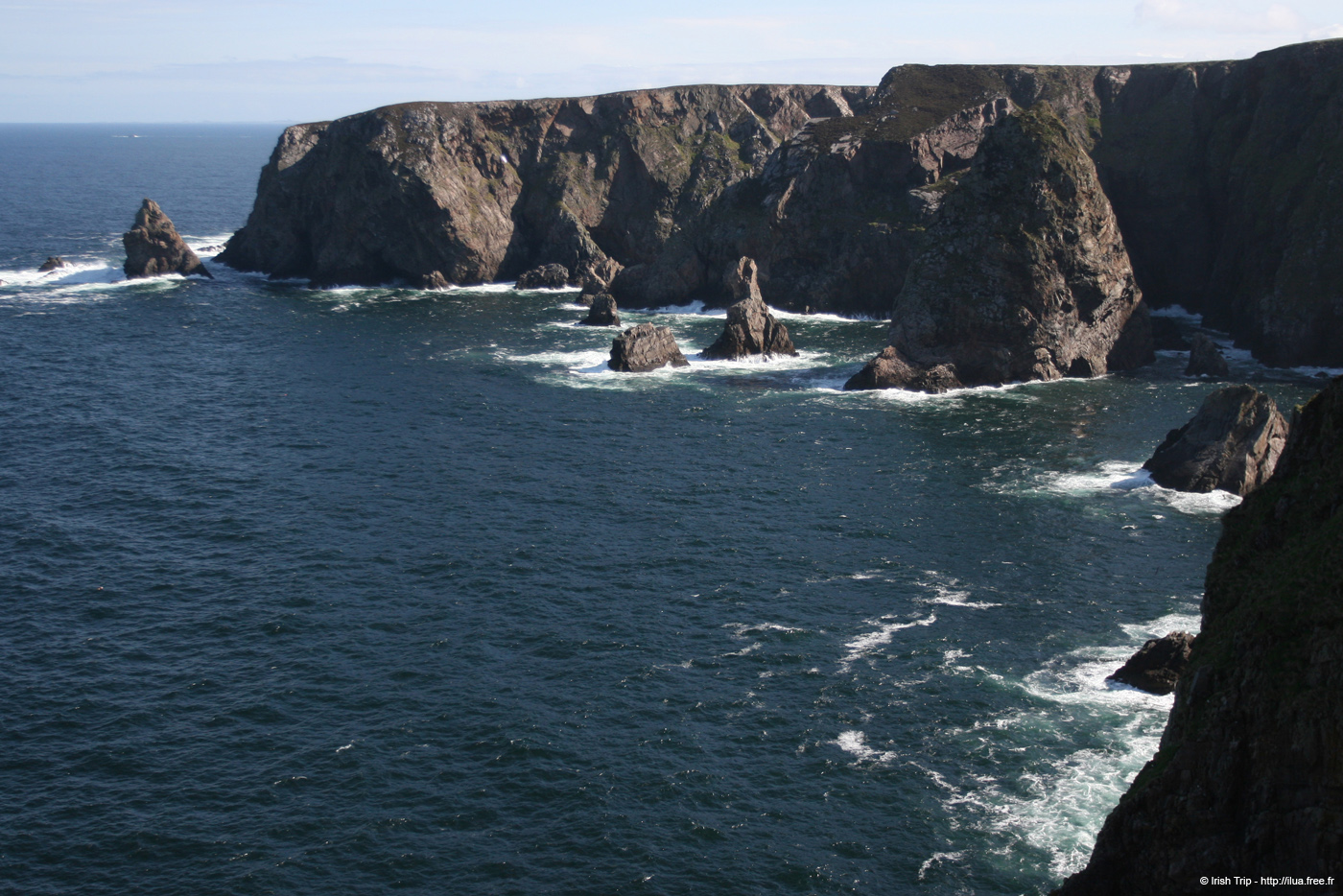 20090430_rinrawrosbay02