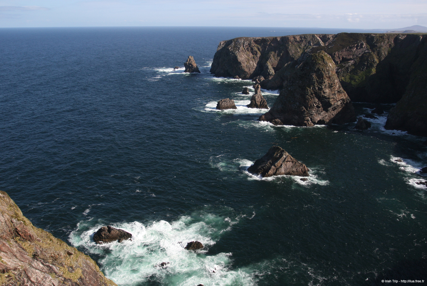 20090430_rinrawrosbay03