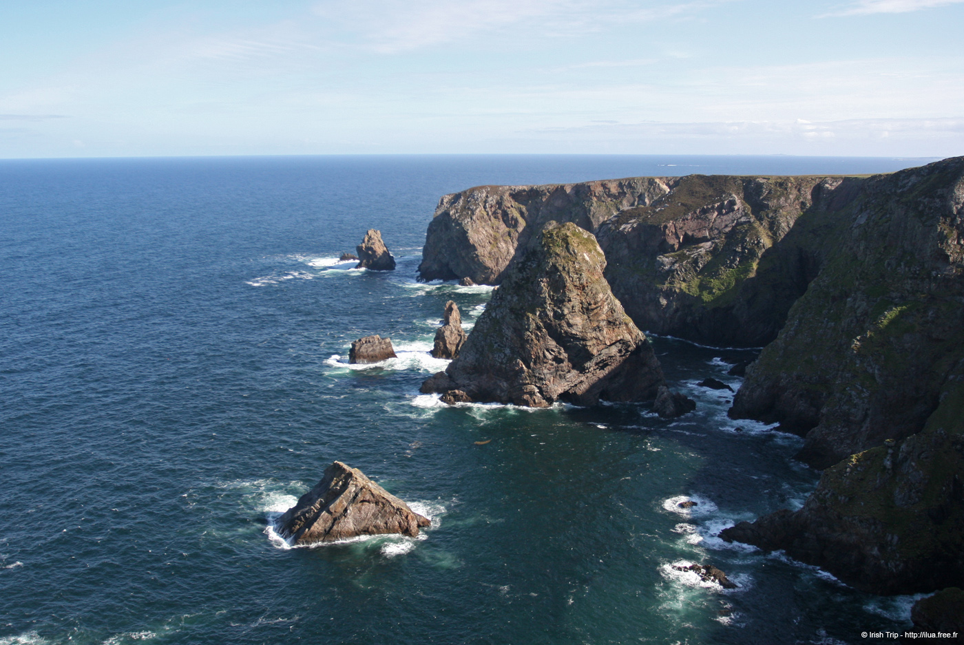 20090430_rinrawrosbay05