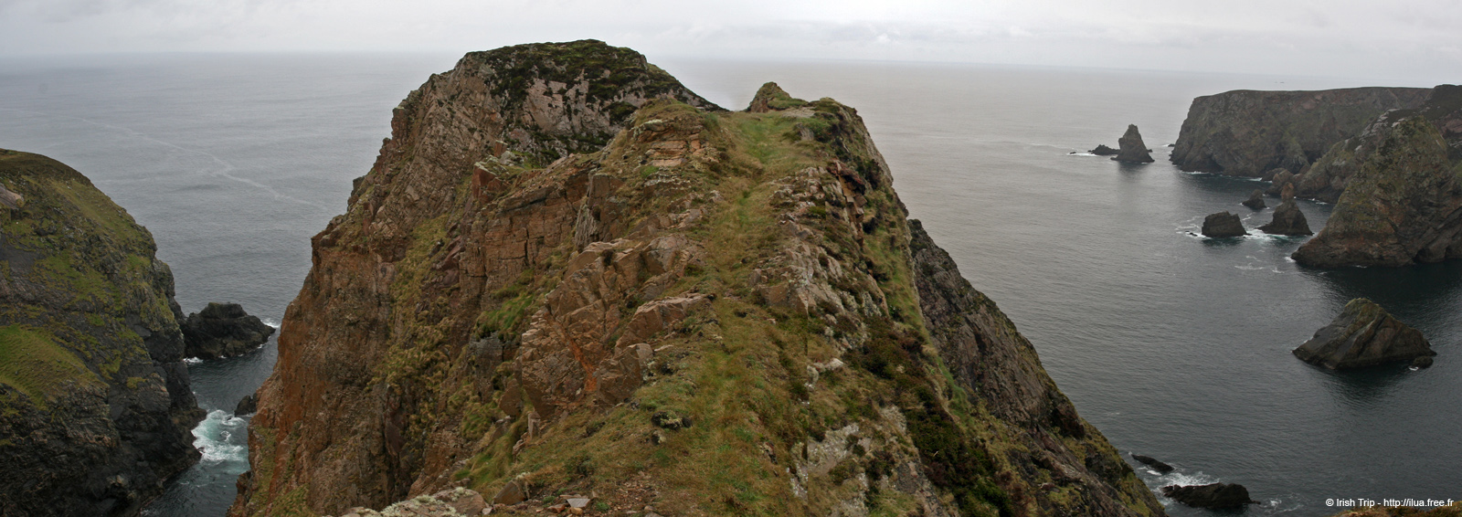 20090430_rinrawrosbay13