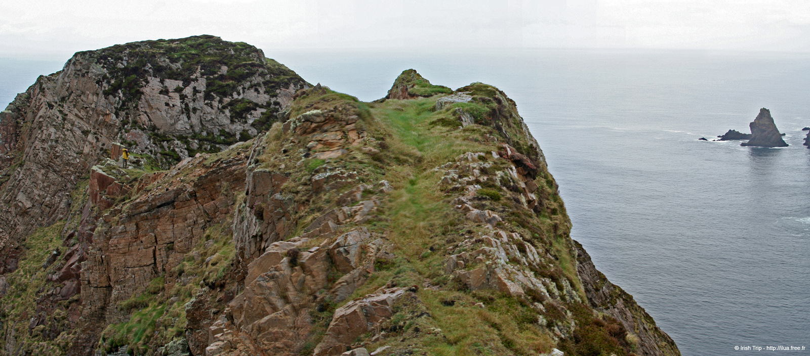 20090430_rinrawrosbay14