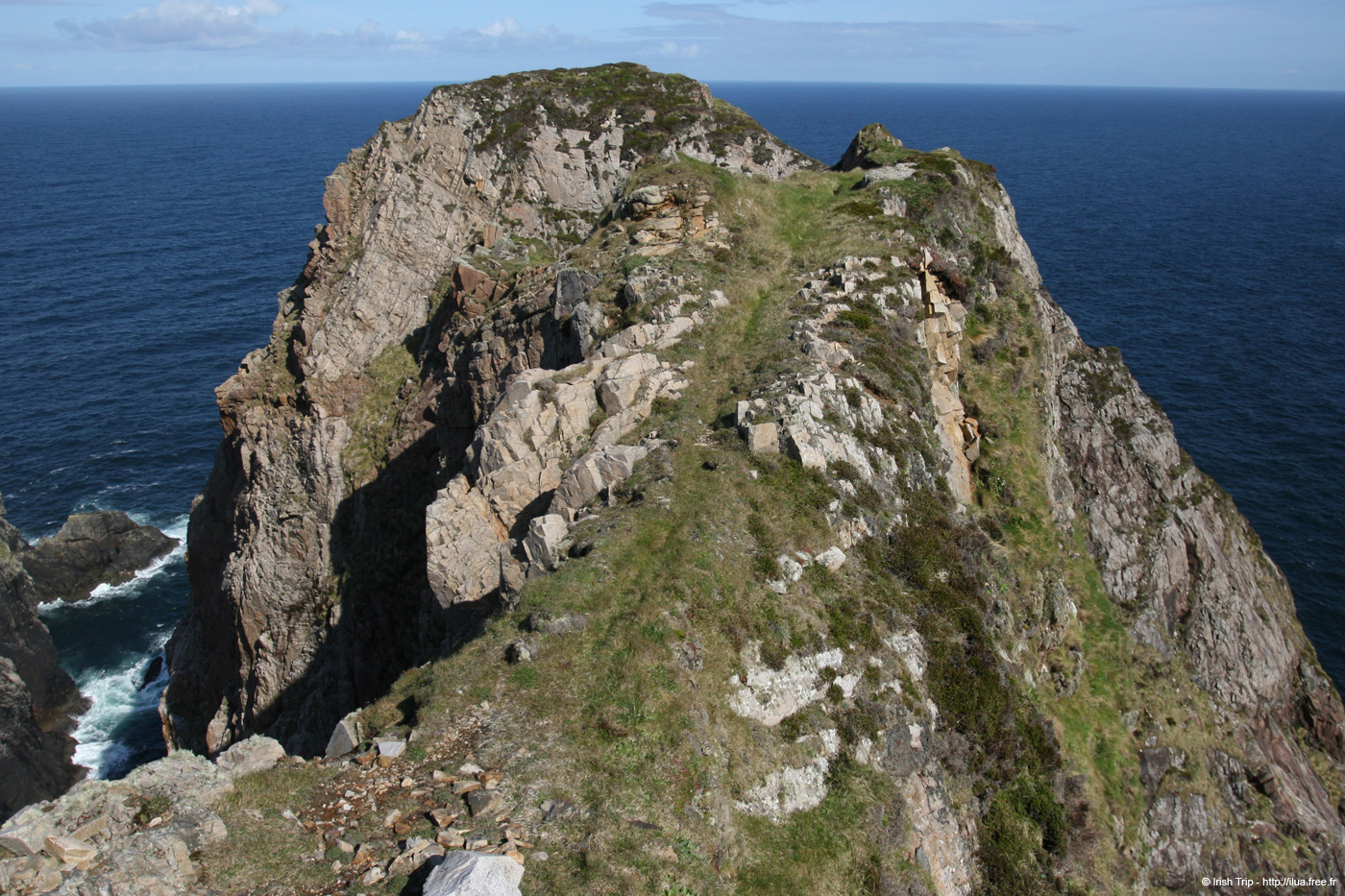 20090430_rinrawrosbay15