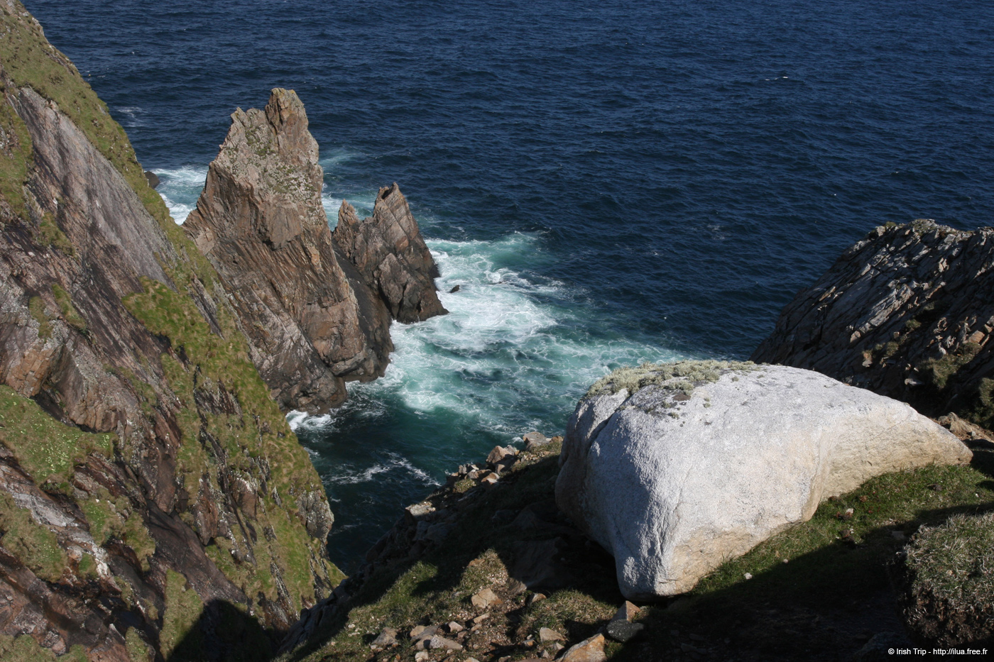 20090430_rinrawrosbay19
