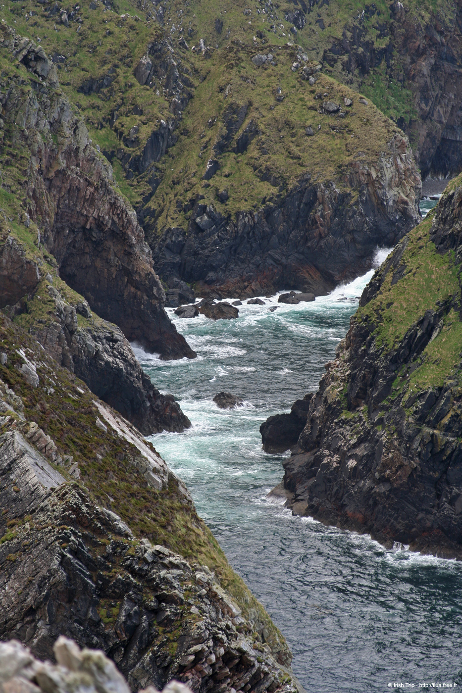 20090430_rinrawrosbay21