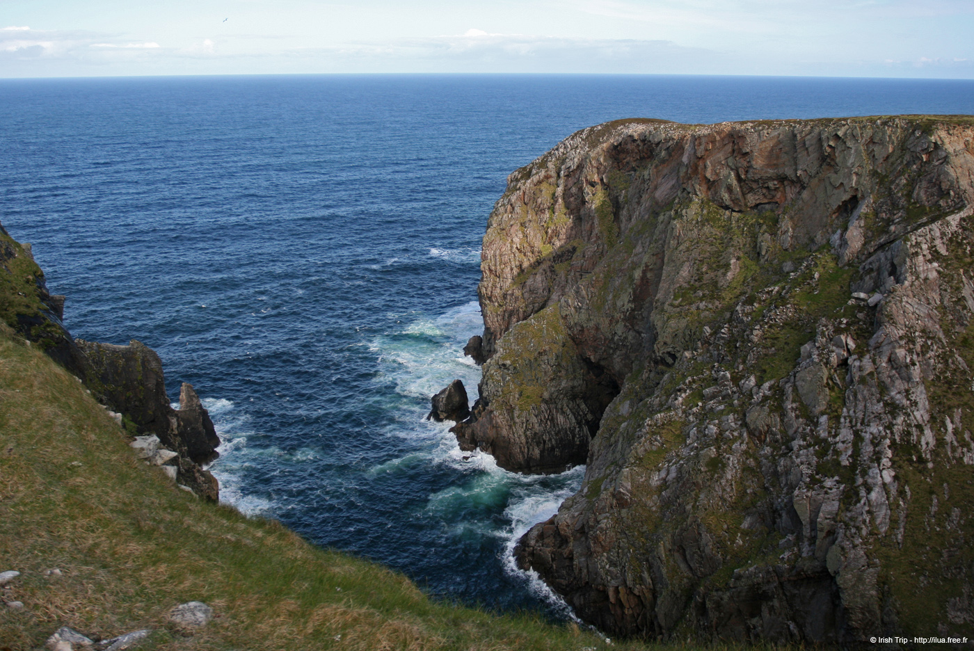 20090430_rinrawrosbay25