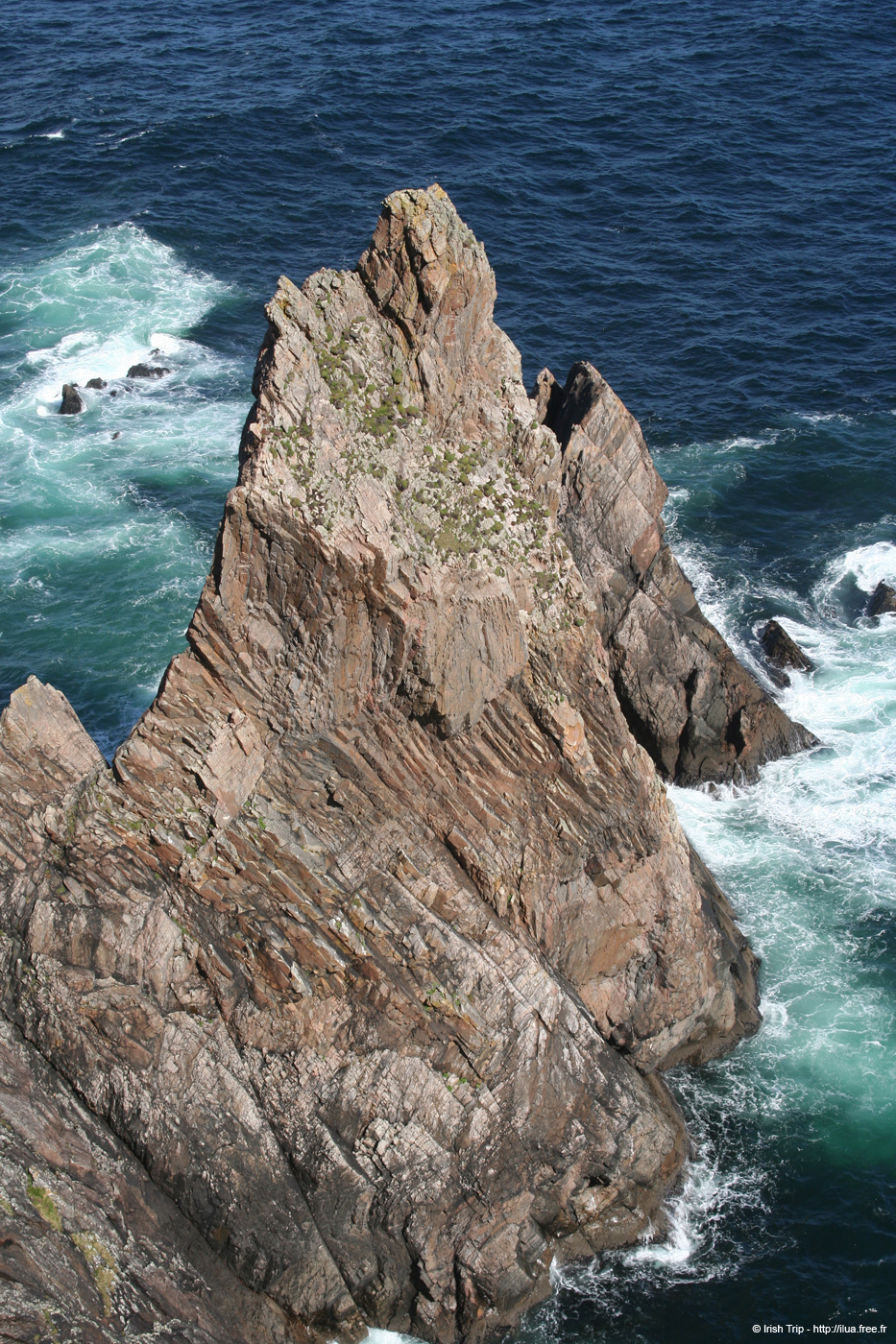 20090430_rinrawrosbay26