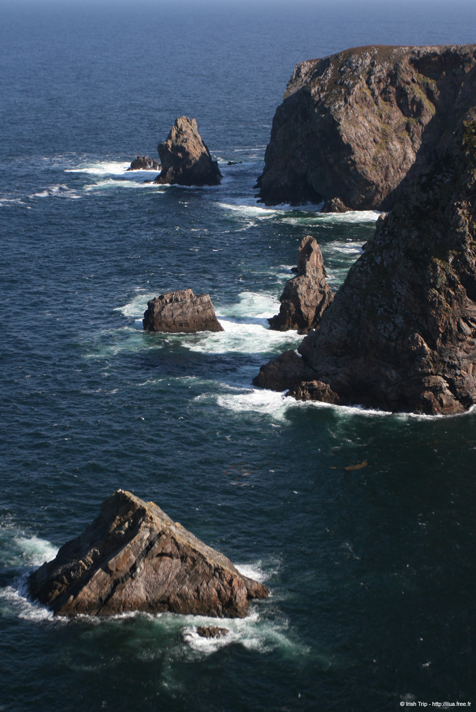 20090430_rinrawrosbay27
