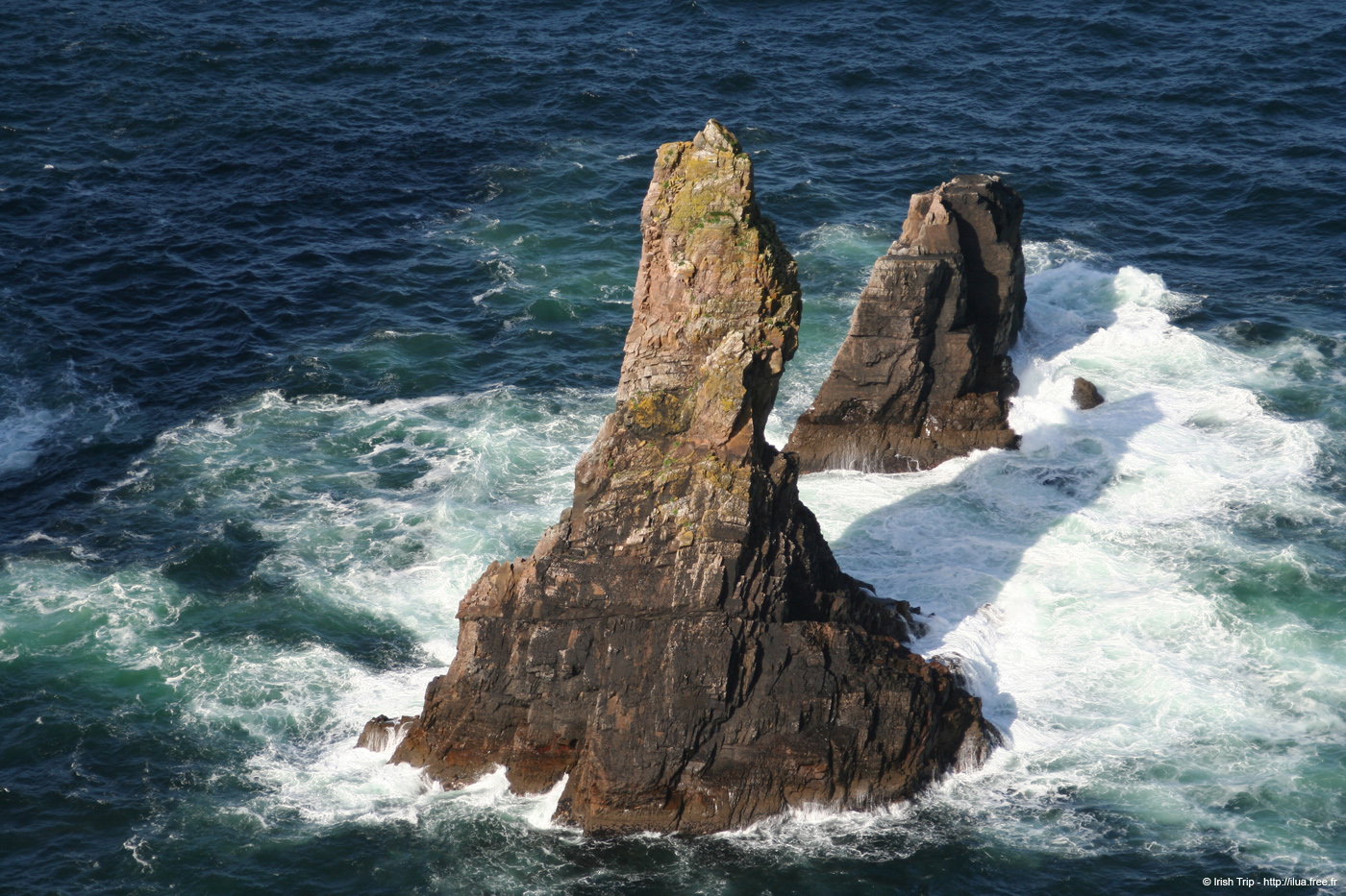 20090430_rinrawrosbay28