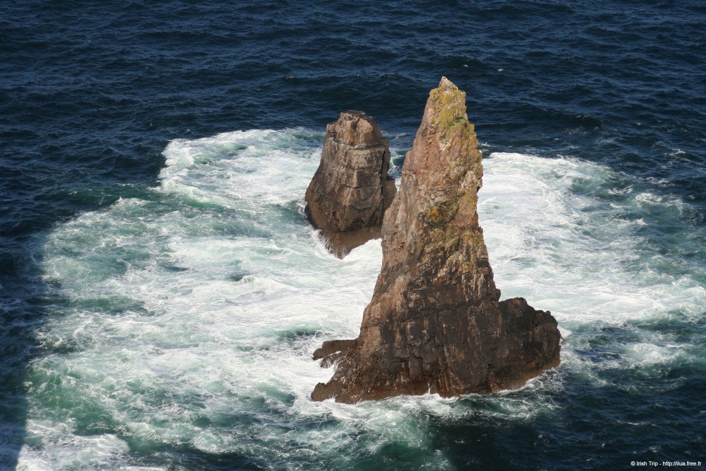 20090430_rinrawrosbay29