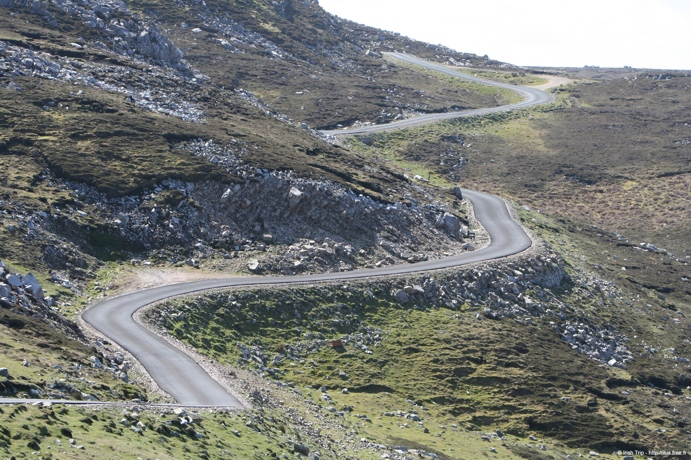 20090430_swroad1