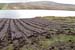 20090427_bogs1
