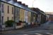 20090427_cavan03