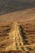 20090427_gcille_bangort1