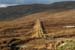 20090427_gcille_bangort2