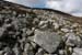 20090427_sliabhliag018