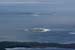 20090427_sliabhliag068