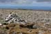 20090427_sliabhliag086