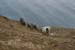 20090427_sliabhliag119
