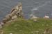 20090427_sliabhliag153
