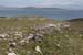 20090427_stjohnpoint01