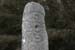 20090427_turasno5_1