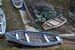 20090428_ougueport08