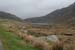 20090428_port03killyfanned