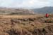 20090428_porthill03aneigh