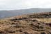 20090428_porthill04aneigh
