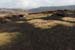 20090428_porthill09top