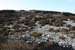 20090428_porthill16top