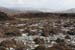 20090428_porthill17top