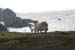 20090428_porthill81