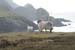 20090428_porthill82