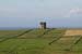 20090428_tharalpoint01