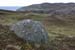 20090429_cronagan05