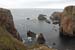 20090429_cronagan07
