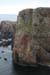 20090429_cronagan08