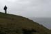 20090429_cronagan13