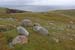 20090429_cronagan38