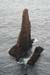20090429_cronagan49