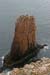 20090429_cronagan52