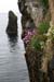 20090429_ougueportbay01