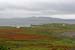 20090429_rannagh01