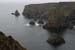 20090429_rinrawrosbay10