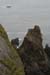 20090429_rinrawrosbay16