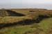 20090429_rinrawrosbogs04