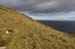 20090430_arannorthcoast10