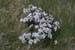 20090430_arannorthcoast13