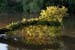 20090430_boyneriver1